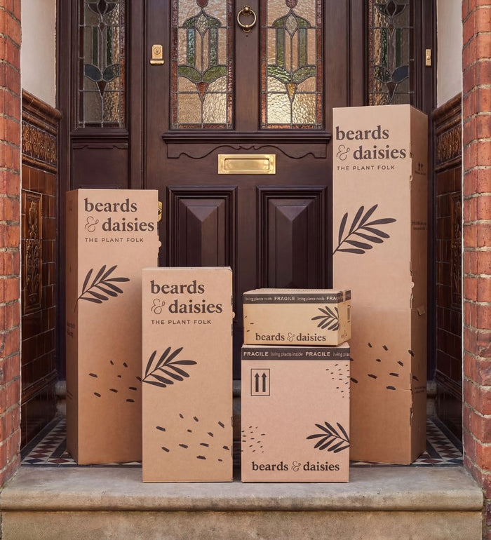 x3 Artificial Mini Succulents & Pots