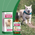 Yegbong Pet Care Supplement for Promoting Kidney Health – Enhances Pets' Vitality with Gentle Ingredients Happy Tails Pet Shop Store