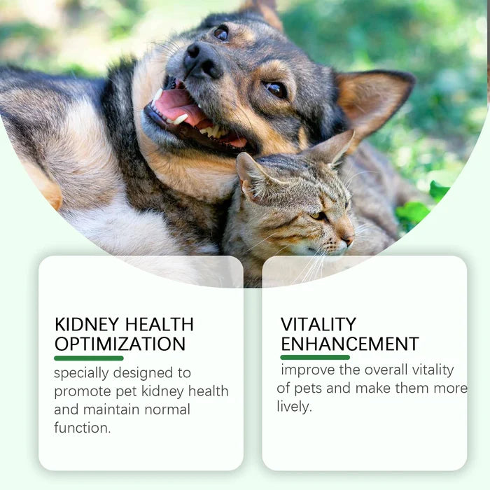 Yegbong Pet Care Supplement for Promoting Kidney Health – Enhances Pets' Vitality with Gentle Ingredients Happy Tails Pet Shop Store