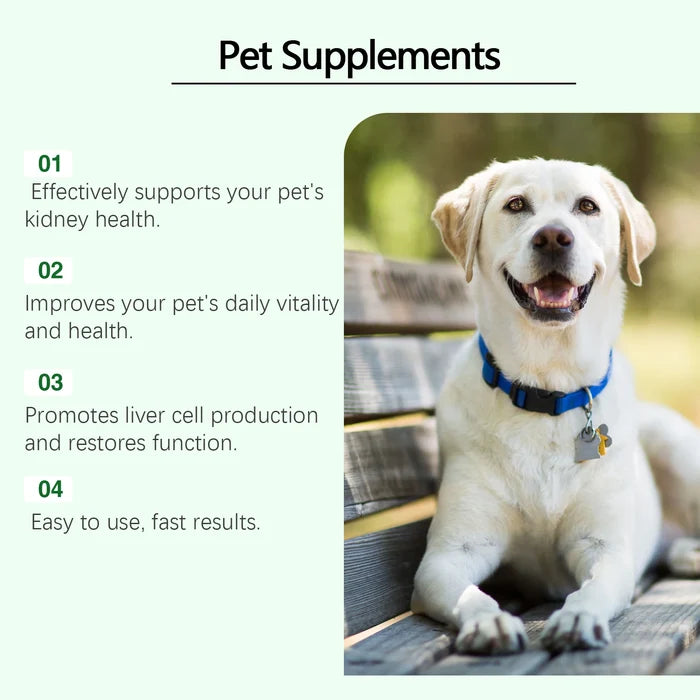 Yegbong Pet Care Supplement for Promoting Kidney Health – Enhances Pets' Vitality with Gentle Ingredients Happy Tails Pet Shop Store