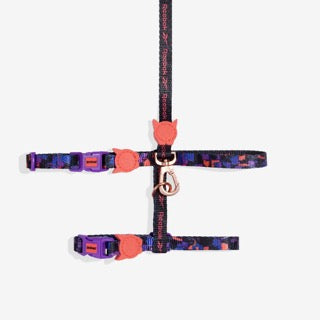 Zee Dog Cat Harness + Leash Set - Reebok Court