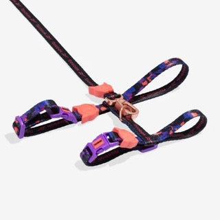 Zee Dog Cat Harness + Leash Set - Reebok Court