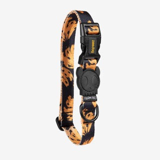 Zee Dog Collar - Bossa Banana