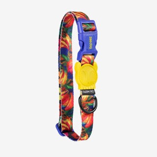 Zee Dog Collar - Samba