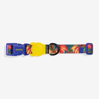 Zee Dog Collar - Samba