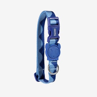 Zee Dog Collar - Swell