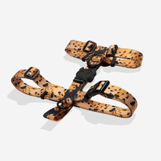Zee Dog H Harness - Bossa Banana