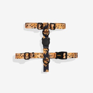 Zee Dog H Harness - Bossa Banana