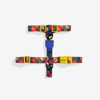 Zee Dog H Harness - Samba