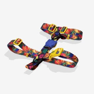 Zee Dog H Harness - Samba