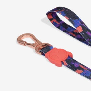 Zee Dog Leash - Reebok Court