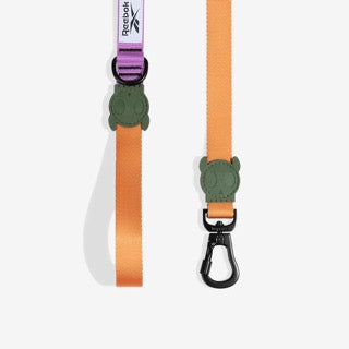 Zee Dog Leash - Reebok Trekk