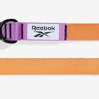 Zee Dog Leash - Reebok Trekk