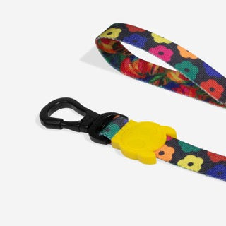 Zee Dog Leash - Samba