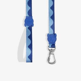 Zee Dog Leash - Swell