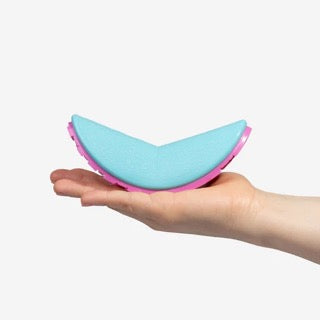 Zee Dog Reebok Aerobic Boomerang Toy