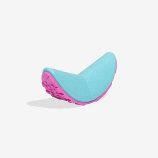 Zee Dog Reebok Aerobic Boomerang Toy