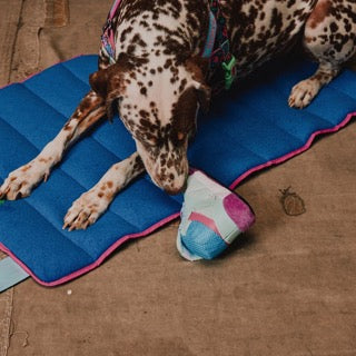 Zee Dog Reebok Freestyke Hi Sneaker Plush Toy